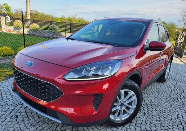 Ford Kuga cena 81900 przebieg: 26000, rok produkcji 2021 z Tarnów małe 436